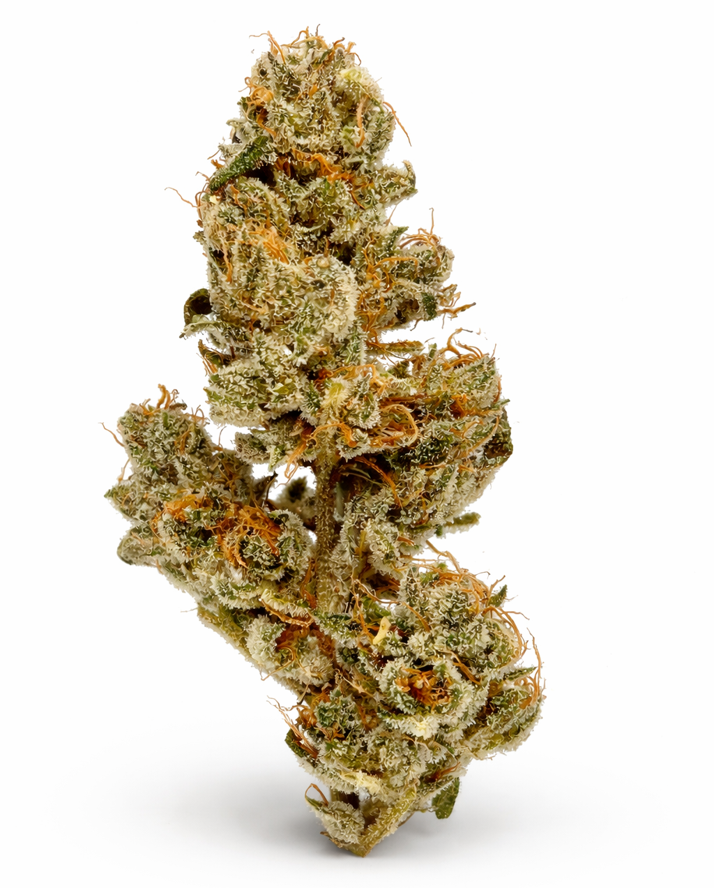 Frosted Snowkush
