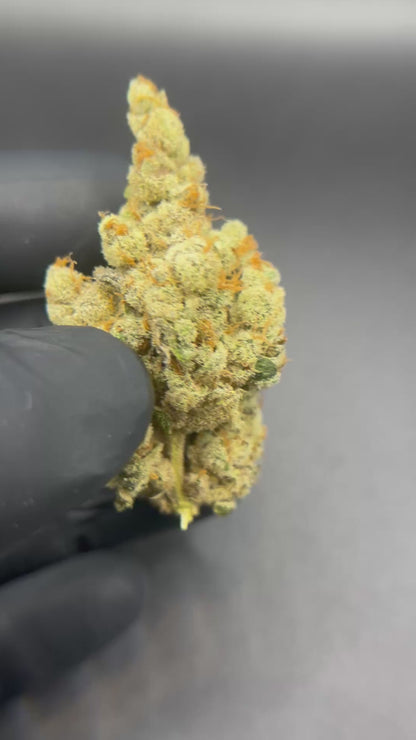 Pineapple snowcone #7