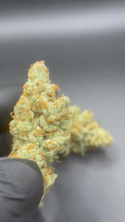 Pineapple snowcone #7