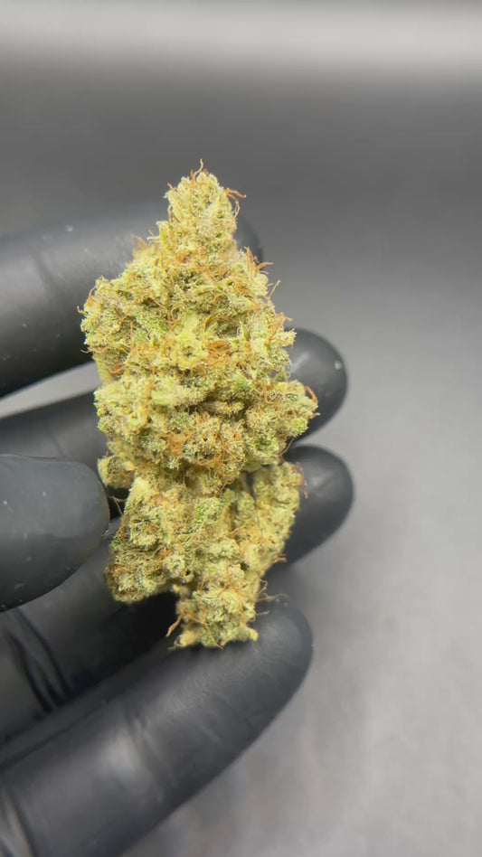 Lemon haze