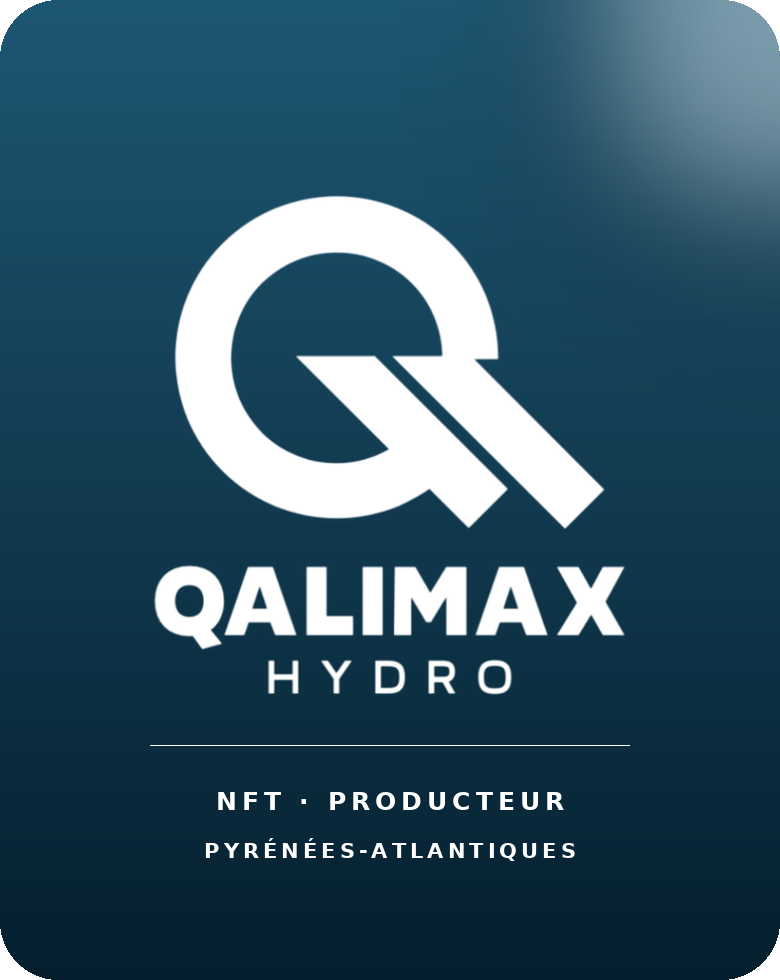 Qalimax Hydro, producteur NFT dans les Pyrénées-Atlantiques